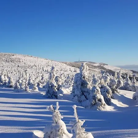 Agropensjonat Tramp Z Goralskim Zabnica
