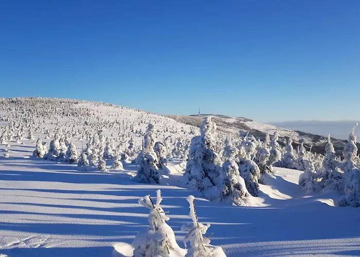 Agropensjonat Tramp Z Goralskim Zabnica